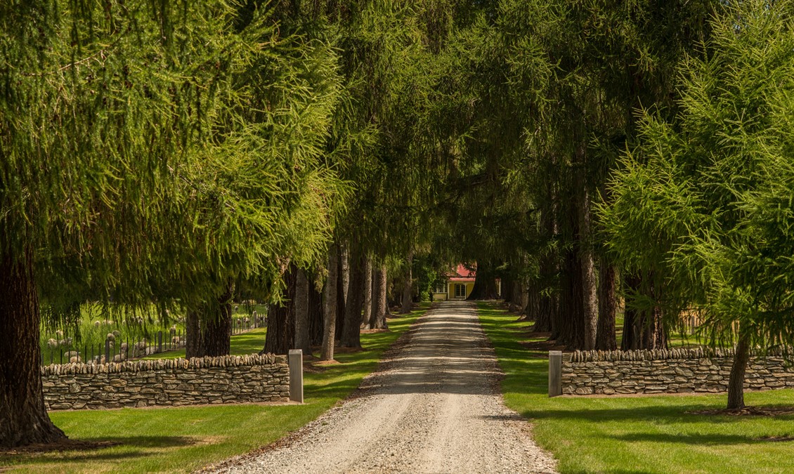 4. Down a sweeping avenue of ancient trees you will find Ayrburn Homestead.jpg