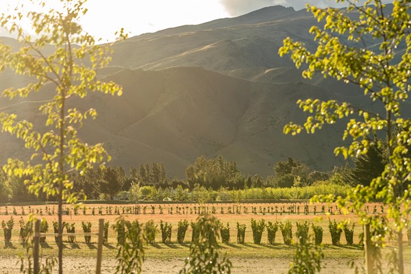 RT_Queenstown_Media-2.jpg